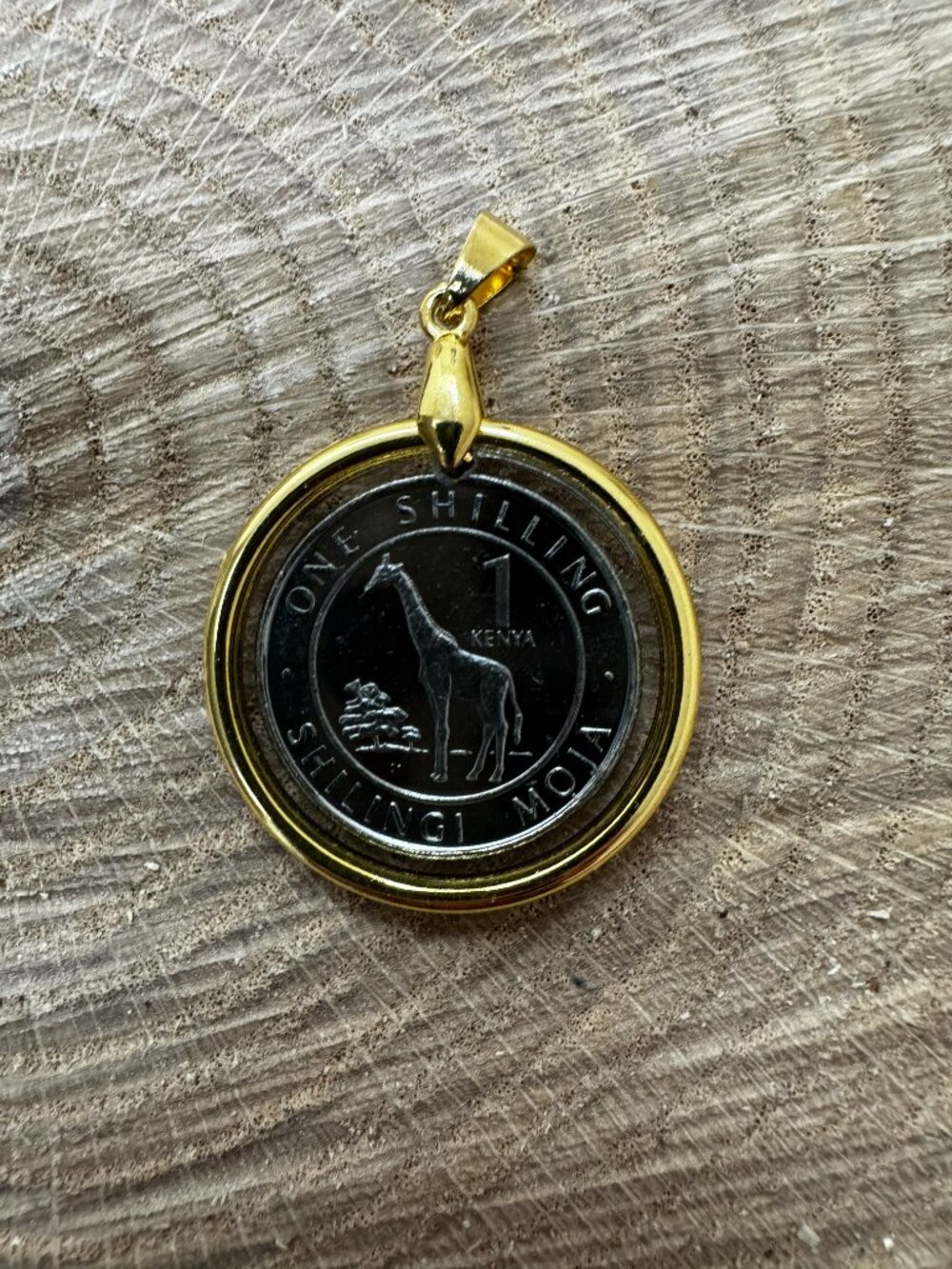 2018 Kenya 1 Shilling Giraffe Coin Pendant (Hand Crafted Resin) African Wildlife